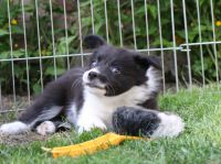 IMG_0731 50